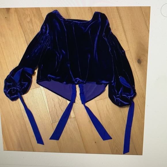 Free People cobalt blue velvet top. - Picture 9 of 10